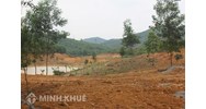 Lịch sử hình thành, phát triển chế định pháp luật về quyền khiếu nại của công dân?