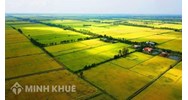 Một số đặc điểm của quyết định hành chính, hành vi hành chính?