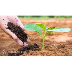 Tính hợp pháp và hợp lý của một quyết định hành chính?