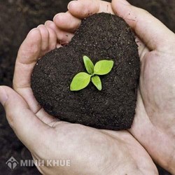Các phương thức giải quyết tranh chấp đất đai?