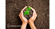 Những yếu tố ảnh hưởng đến hòa giải tranh chấp đất đai?