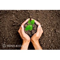 Những yếu tố ảnh hưởng đến hòa giải tranh chấp đất đai?