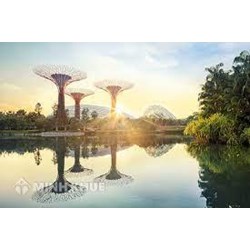 Tìm hiểu mục tiêu, phạm vi và nội dung Công ước Singapore về hòa giải