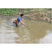 Dùng kích điện để đánh bắt cá thì có bị phạt không ?