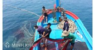 Hành vi hủy hoại nguồn lợi thủy sản có thể sẽ bị phạt như thế nào ?