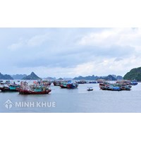 Vi phạm quy định về khu vực cấm khai thác thủy sản