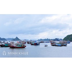 Vi phạm quy định về khu vực cấm khai thác thủy sản