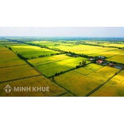 Một số vấn đề về các biện pháp ngăn chặn hành chính?
