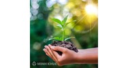 Phân loại các biện pháp ngăn chặn hành chính?