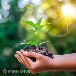 Phân loại các biện pháp ngăn chặn hành chính?