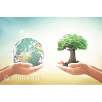 Thuế bảo vệ môi trường là gì? Ví dụ các loại thuế bảo vệ môi trường