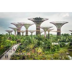 Chế tài đối với hành vi vi phạm pháp luật về môi trường ở Singapore