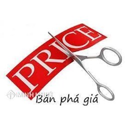 Một số vấn đề lý luận chung về bán phá giá và biện pháp chống bán phá giá.