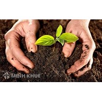 Các dạng tranh chấp đất đai phổ biến hiện nay?