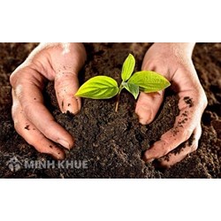 Các dạng tranh chấp đất đai phổ biến hiện nay?