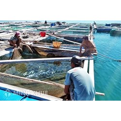 Điều kiện cơ sở nuôi trồng thủy sản ?Thẩm quyền cấp phép nuôi trồng thủy sản trên biển