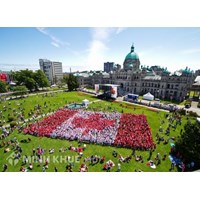 Khái quát pháp luật về trách nhiệm bồi thường nhà nước Canada