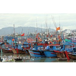 Tàu cá có chiều dài lớn hơn 15m không có giấy phép khai thác thì bị phạt bao nhiêu ?