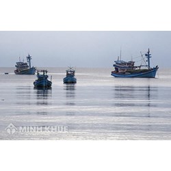 Khai thác thủy sản trái phép ở vùng biển ven bờ các tỉnh khác thì bị phạt như thế nào ?