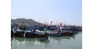 Vi phạm quy định về hạn ngạch sản lượng khai thác thủy sản