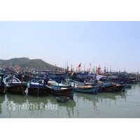 Vi phạm quy định về hạn ngạch sản lượng khai thác thủy sản
