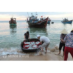 Vi phạm quy định về Giấy phép khai thác thủy sản