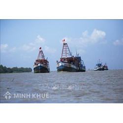 Danh sách tàu cá có nguy cơ cao vi phạm quy định khai thác thủy sản bất hợp pháp