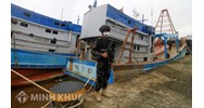 Điều kiện cấp phép cho tổ chức, cá nhân nước ngoài có tàu hoạt động thủy sản trong vùng biển Việt Nam
