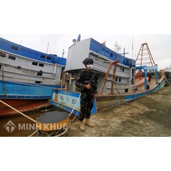 Điều kiện cấp phép cho tổ chức, cá nhân nước ngoài có tàu hoạt động thủy sản trong vùng biển Việt Nam