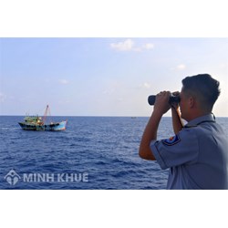 Giám sát viên trên tàu nước ngoài hoạt động thủy sản trong vùng biển Việt Nam