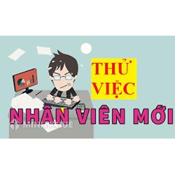 Người lao động không phản hồi thông báo kết quả thử việc thì nên xử lý thế nào ?