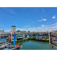 Quy định của pháp luật về quản lý cảng cá, đóng, mở cửa cảng cá