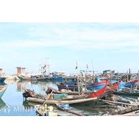 Phân loại khu neo đậu tránh trú bão cho tàu cá ?Quản lý khu neo đậu tránh trú bão cho tàu cá