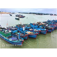 Hồ sơ quyết định mua, bán, đóng mới tàu biển