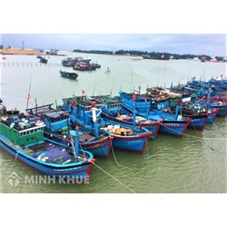 Hồ sơ quyết định mua, bán, đóng mới tàu biển