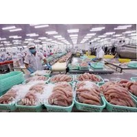 Mua, bán, sơ chế, chế biến thủy sản, sản phẩm thủy sản