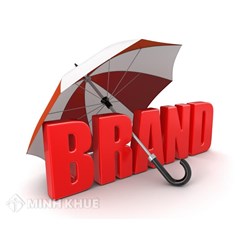Đăng ký bảo hộ nhãn hiệu cho sản phẩm bao đựng điện thoại thông minh, tai nghe nhãn hiệu "	V VONK Different For You"