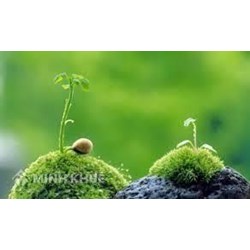 Tìm hiểu các quan niệm triết học về nhân quả