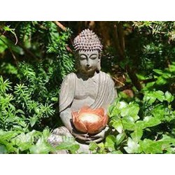 Quan điểm của Phật giáo về bình đẳng và dân chủ