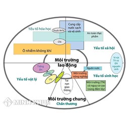 Trình tự, thủ tục hưởng chế độ bảo hiểm bệnh nghề nghiệp?
