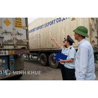 Giám sát hải quan đối với hàng hóa xuất khẩu, nhập khẩu