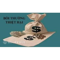 Trách nhiệm bồi thường của Nhà nước trong hoạt động hành chính là gì? Một số vấn đề liên quan đến trách nhiệm bồi thường thiệt hại của Nhà nước.