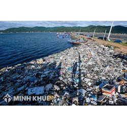 Những nguyên tắc cơ bản trong bồi thường thiệt hại do ô nhiễm môi trường biển