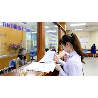 Pháp luật quy định như thế nào về nộp thuế