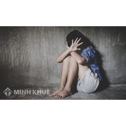 Tìm hiểu quy định của pháp luật Nhật Bản về hành vi khiêu dâm trẻ em