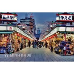 Tìm hiểu về đặc điểm của quyết định hành chính theo pháp luật Hành chính Nhật Bản
