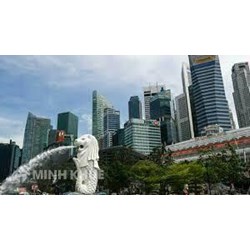 Đào tạo, bồi dưỡng công chức của Singapore? Chính sách tiền lương của Singapore?