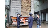 Quy định của pháp luật về vi phạm quy định về giám sát hải quan