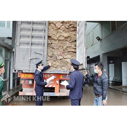 Quy định của pháp luật về vi phạm quy định về giám sát hải quan