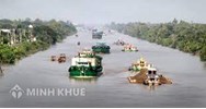 Quy định về định hướng phát triển rừng theo lĩnh vực